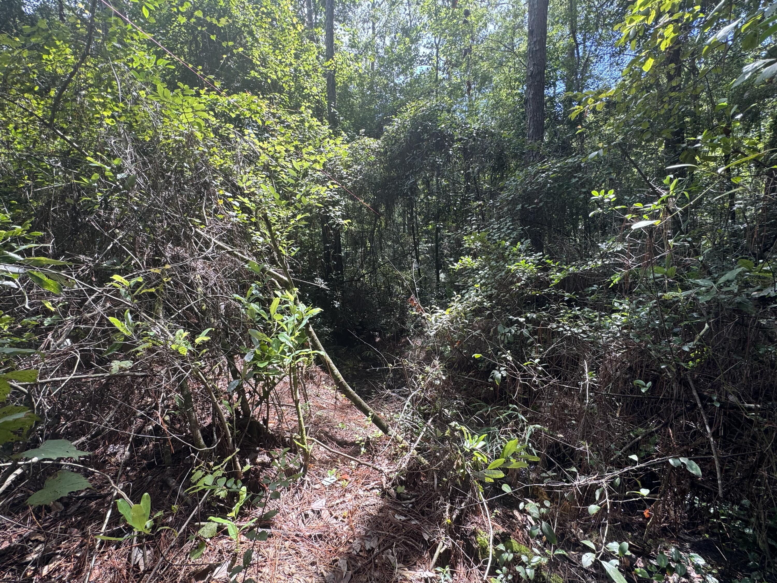 OAKWOOD HILLS UNIT 4 - Land