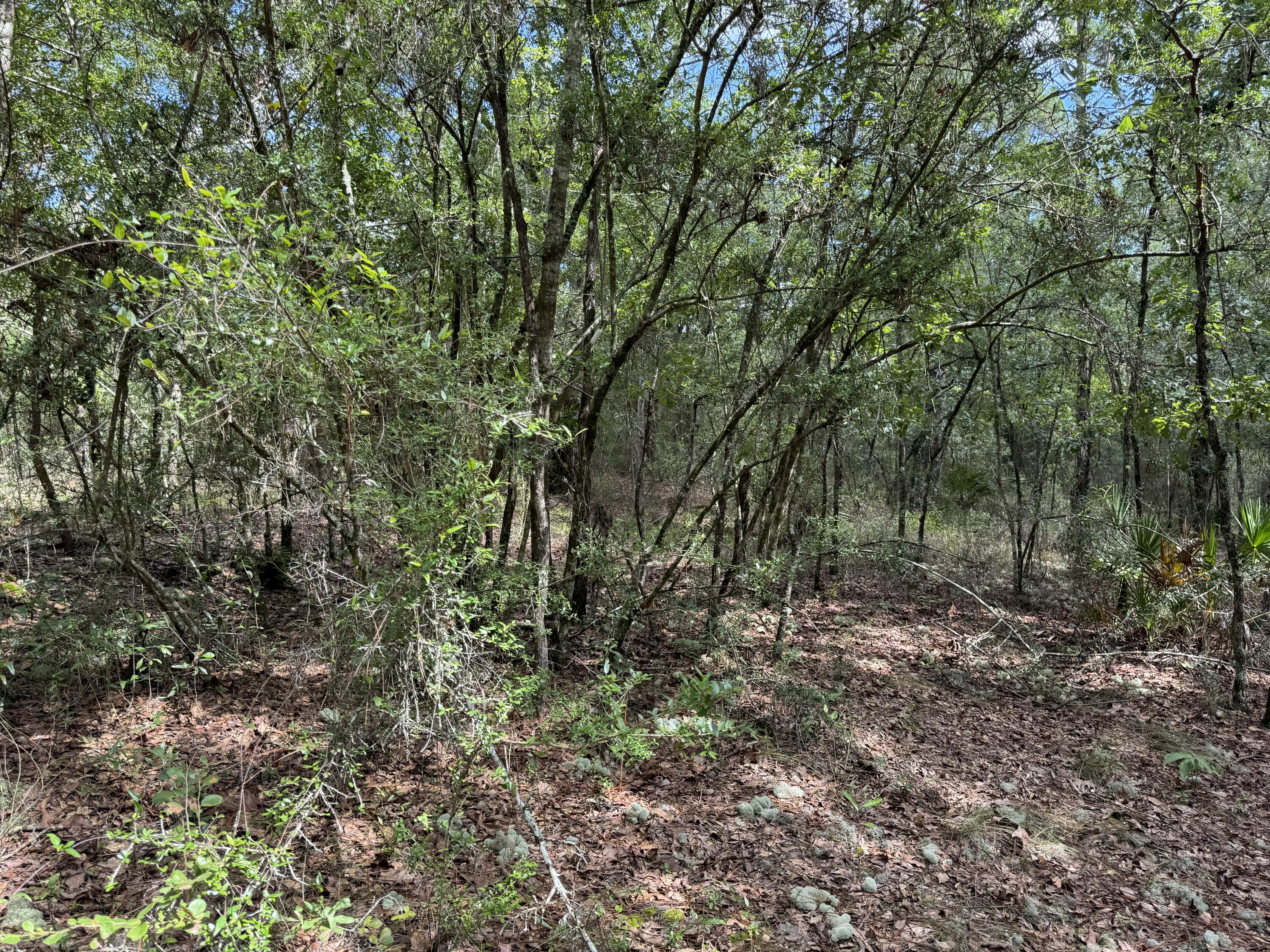 OAKWOOD HILLS UNIT 4 - Land