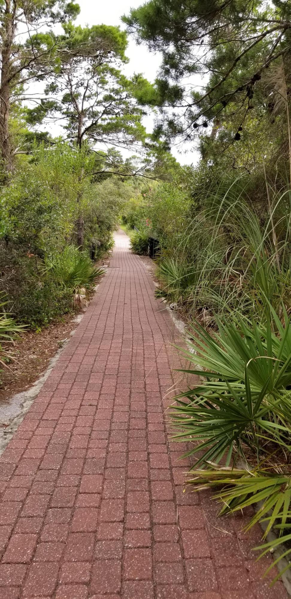 GULF PLACE AT SANTA ROSA BEACH (aka Bella Mar at Gulf Place) - Residential