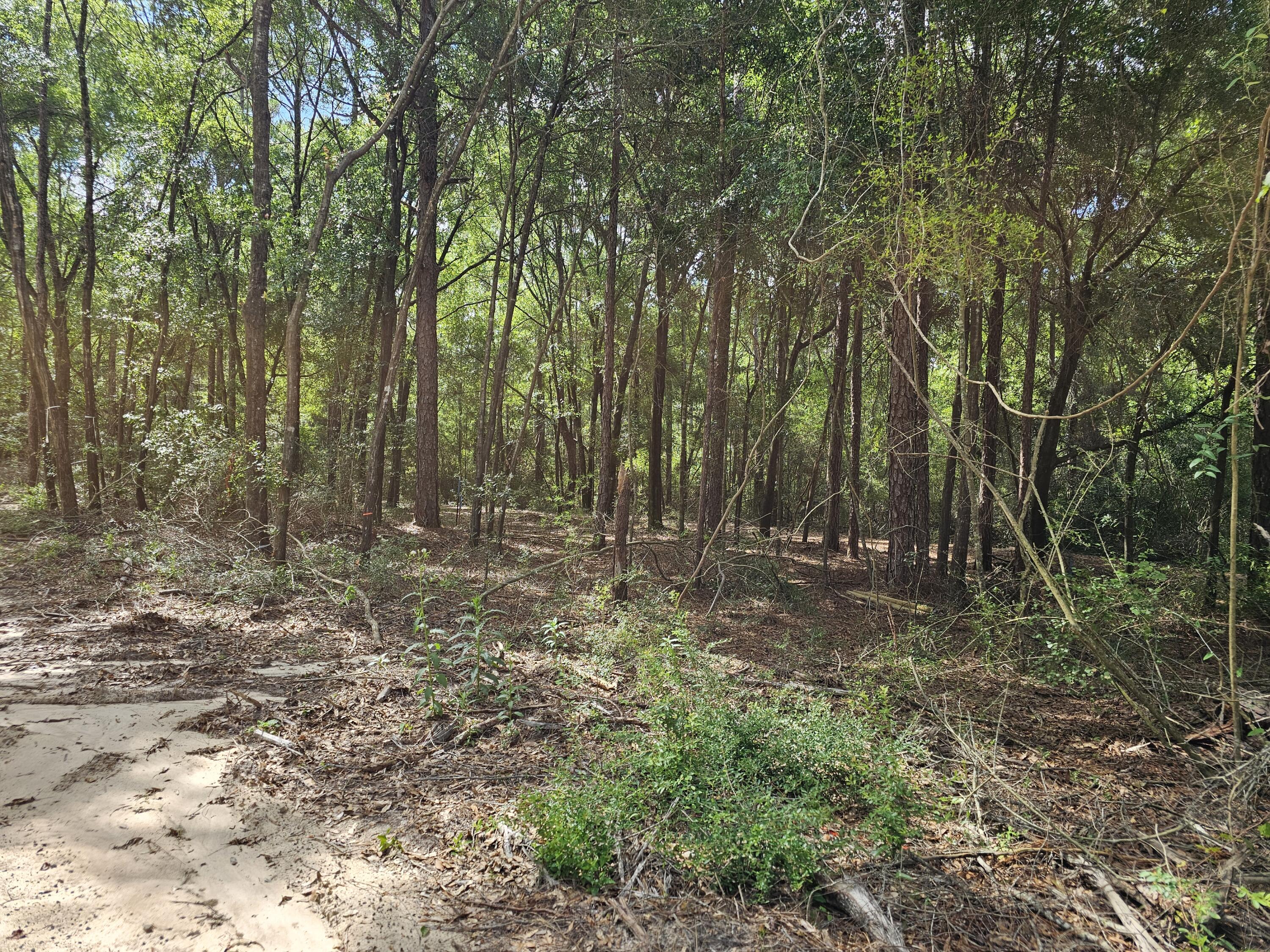 METES & BOUNDS - Land