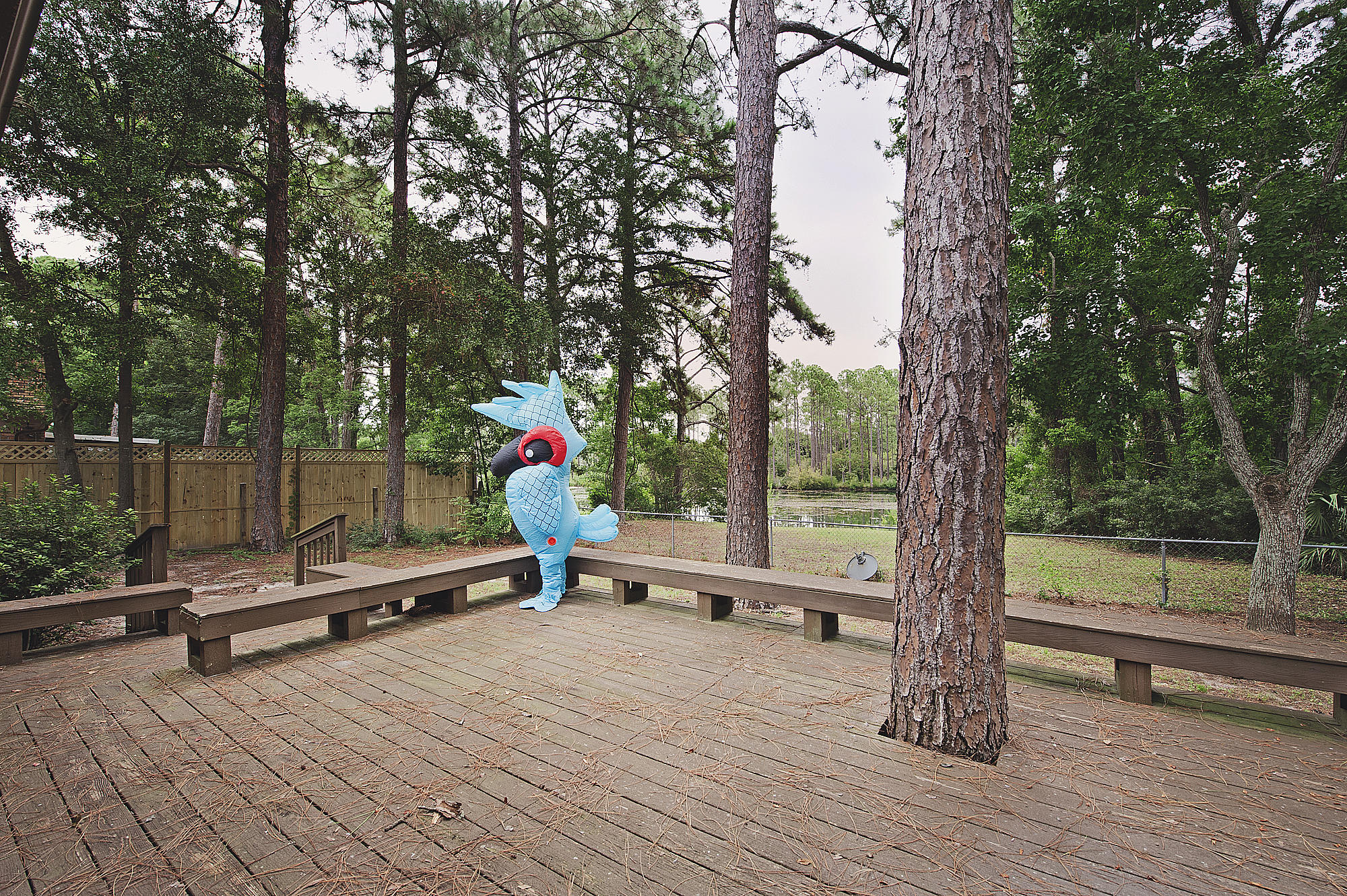 BERKSHIRE WOODS - Residential