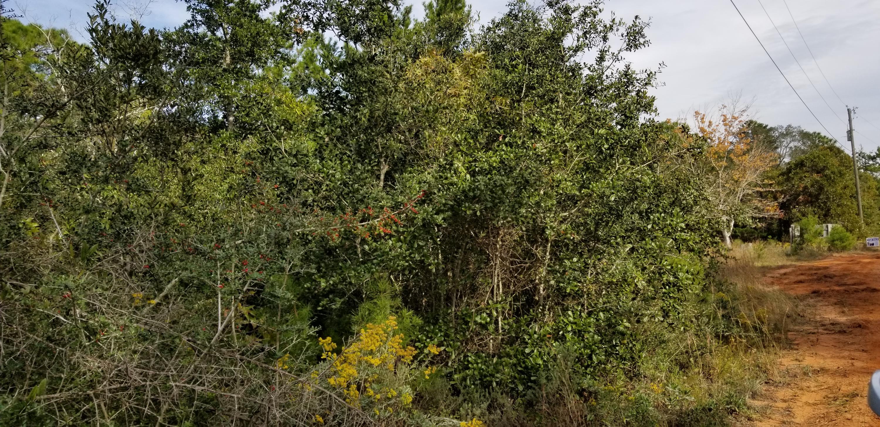 Com Ne Cor Sec Th S 89* W 300 Ft. Th 2*W685.58 Ft. Th S 89*W 154.5 Ft. Th S 563.42 To N R/W South - Land