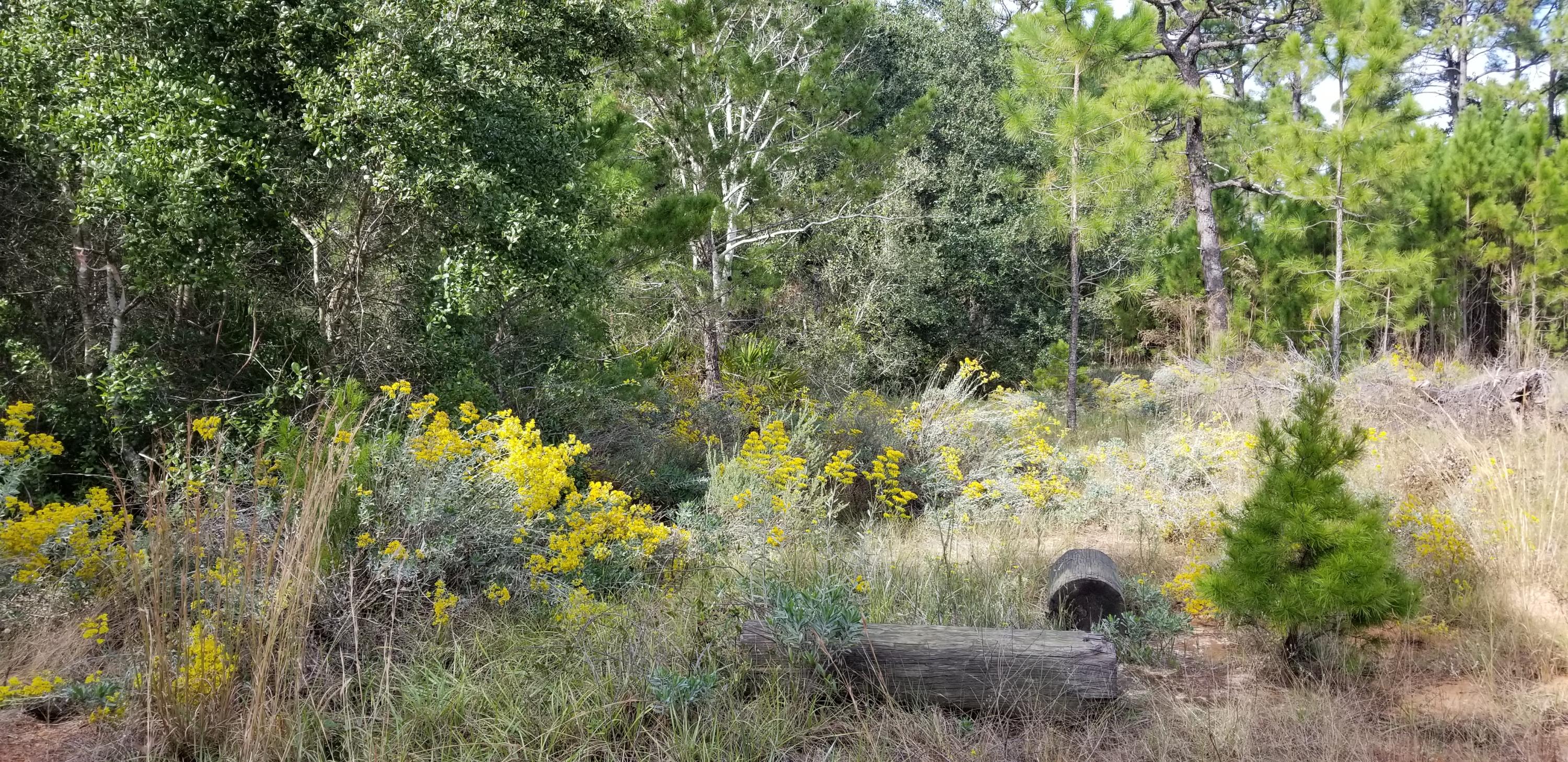 Com Ne Cor Sec Th S 89* W 300 Ft. Th 2*W685.58 Ft. Th S 89*W 154.5 Ft. Th S 563.42 To N R/W South - Land