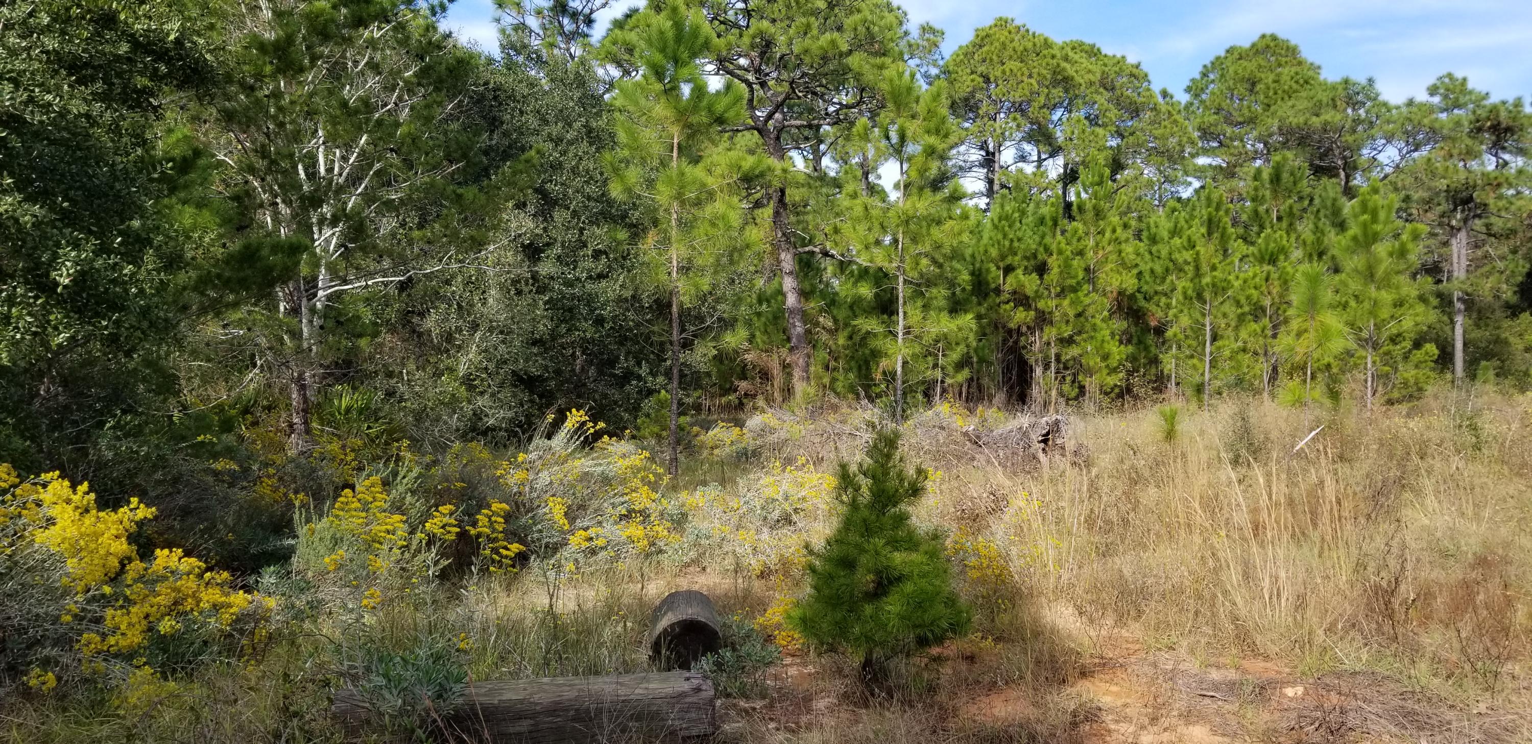 Com Ne Cor Sec Th S 89* W 300 Ft. Th 2*W685.58 Ft. Th S 89*W 154.5 Ft. Th S 563.42 To N R/W South - Land