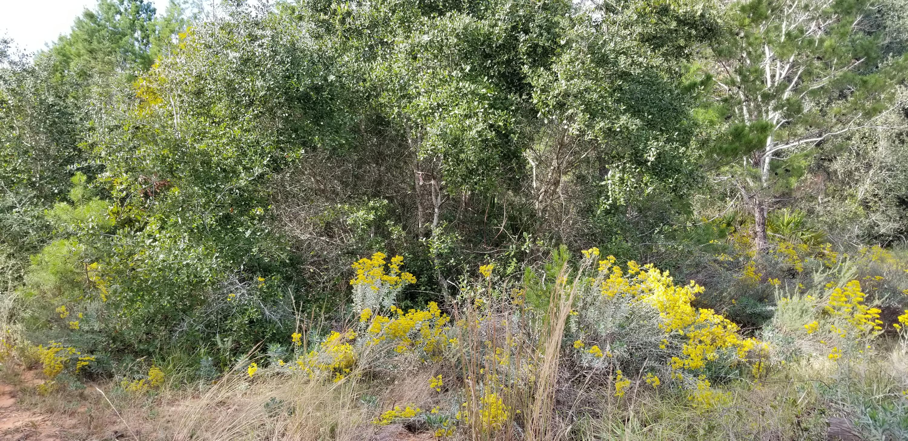 Com Ne Cor Sec Th S 89* W 300 Ft. Th 2*W685.58 Ft. Th S 89*W 154.5 Ft. Th S 563.42 To N R/W South - Land