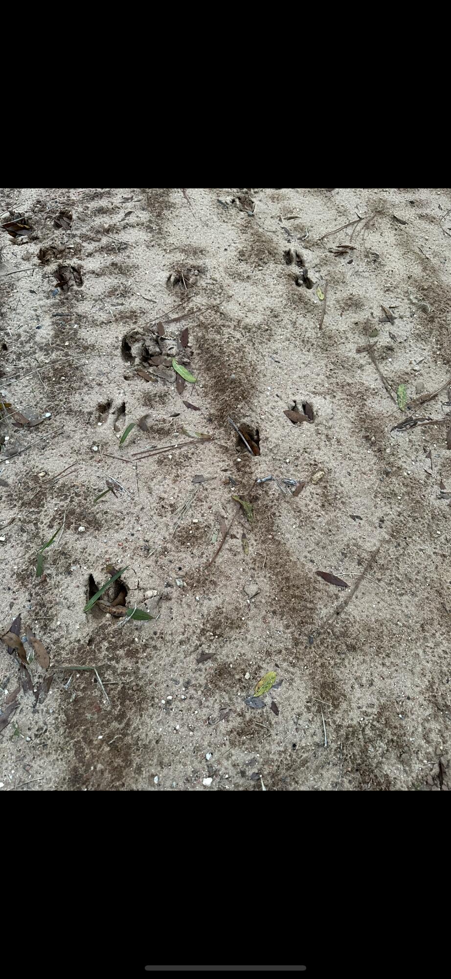 Cat Island Estates Phase 1 - Land