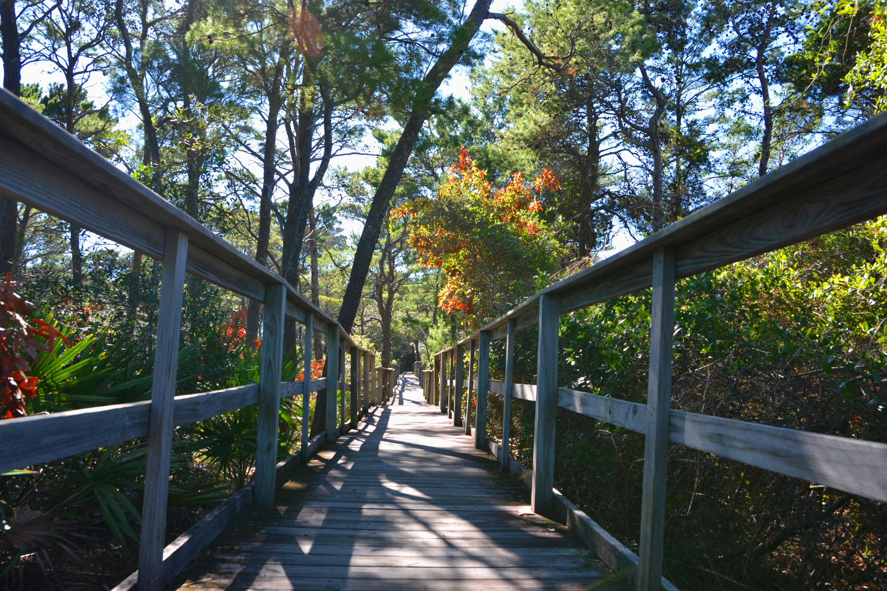 THE PRESERVE AT GRAYTON BEACH - Residential