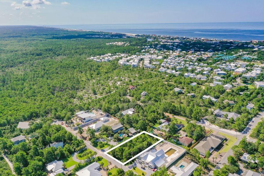 Build your dream vacation home along Scenic 30A in the Pines of Blue Mountain Beach. This oversized home site has no build out time, no mandatory HOA, and is over 1/2 of an acre.  The lot is near restaurants, shops, bike path, the beach access, and Point Washington State Forest.