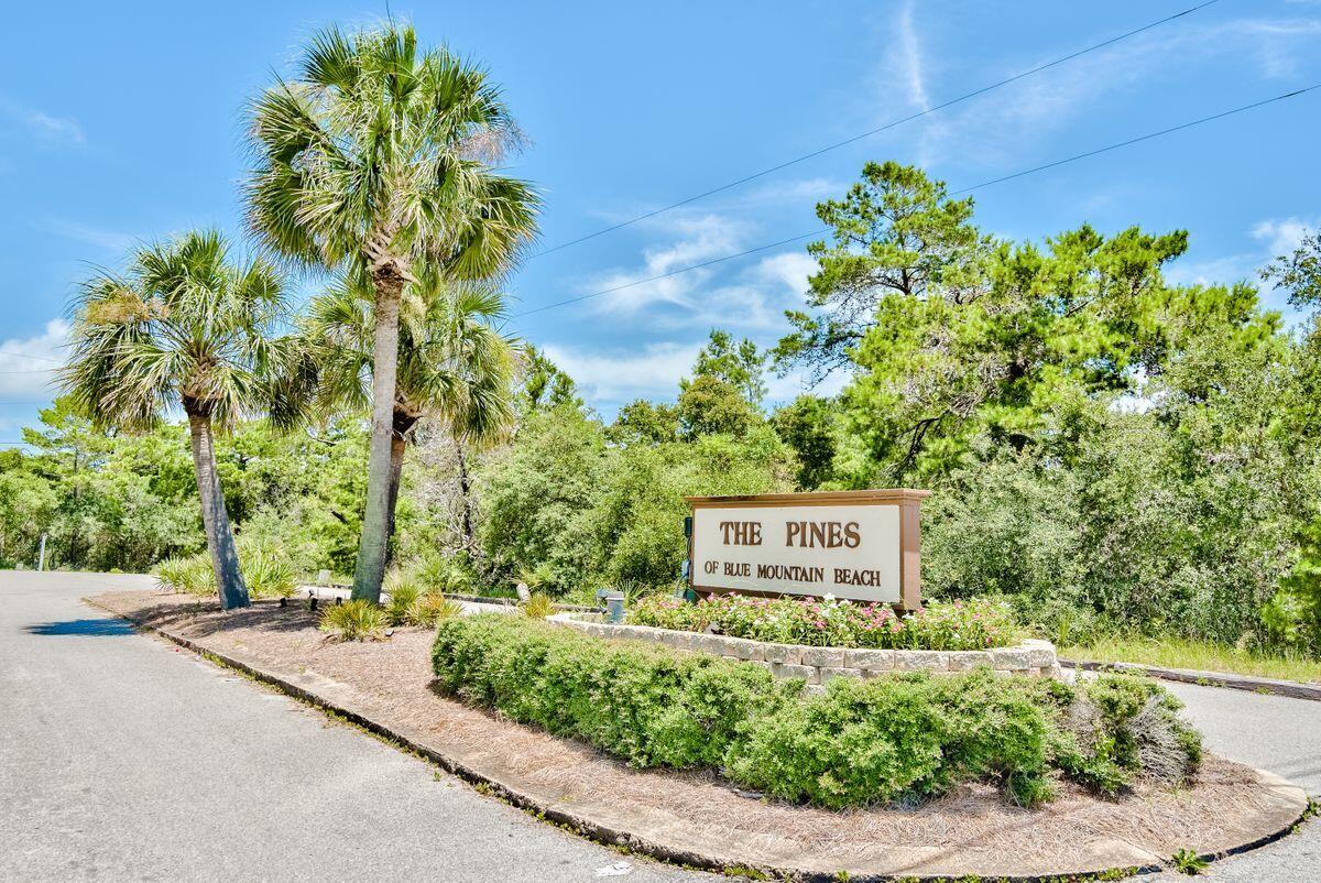 PINES OF BLUE MOUNTAIN - Land