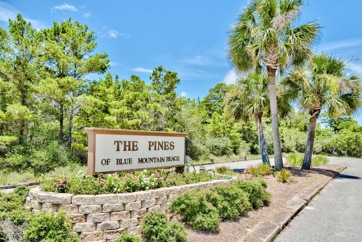 PINES OF BLUE MOUNTAIN - Land