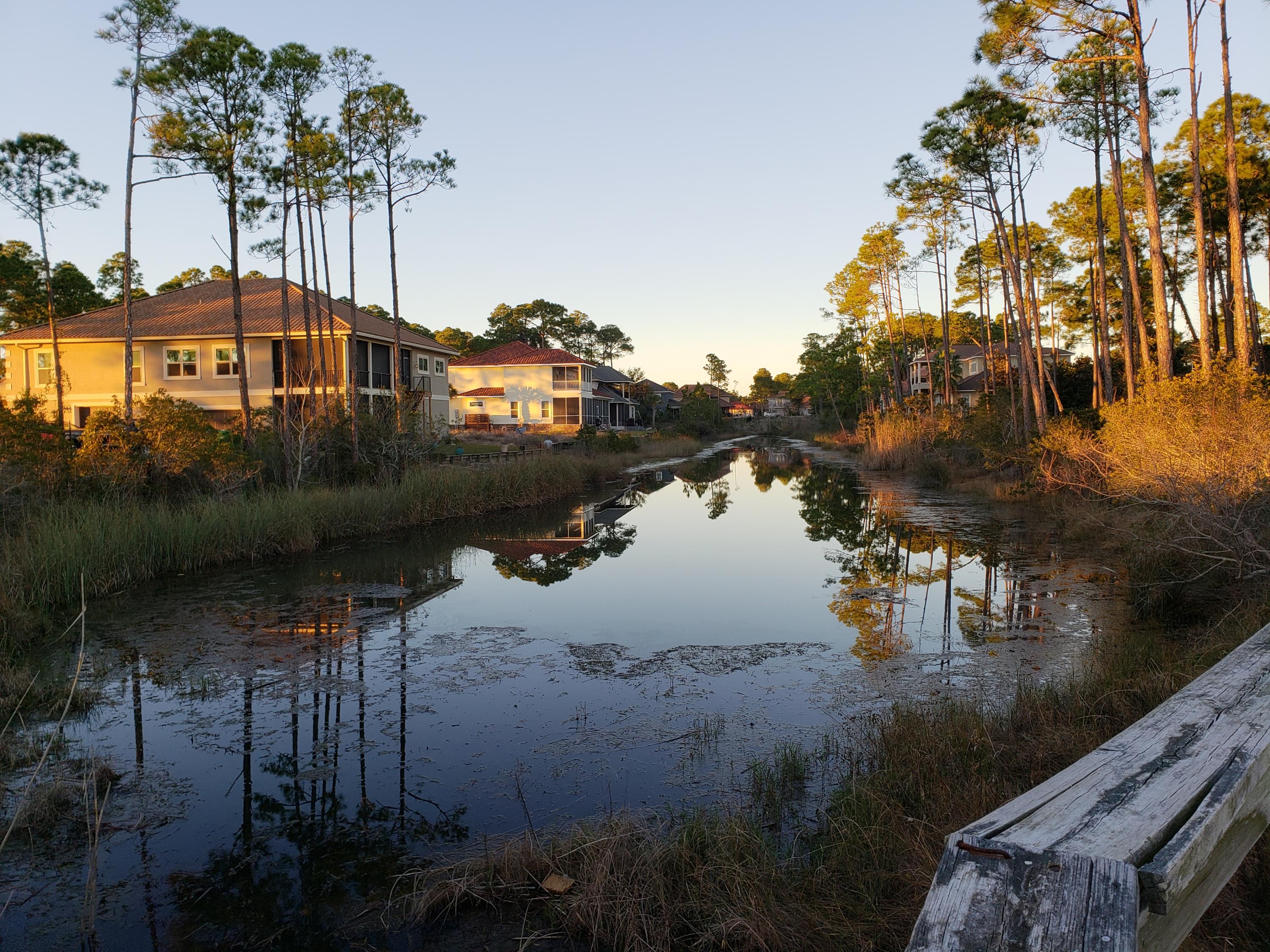 PALMETTO LAKE PRESERVE - Land