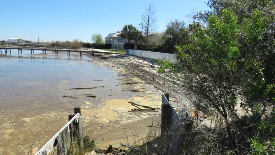 Awesome .31 acre Bayfront REO lot in Santa Rosa Beach. The lot has some beautiful trees and incredible views of the Choctawhatchee Bay! The location is very convenient to schools, shopping, restaurants and employment opportunities. Don't miss your chance at a slice of peaceful paradise. The vacant lot is west of 78 Chat Holly Rd and we are working on the address correction on HomePath. This is a Fannie Mae HomePath Property.