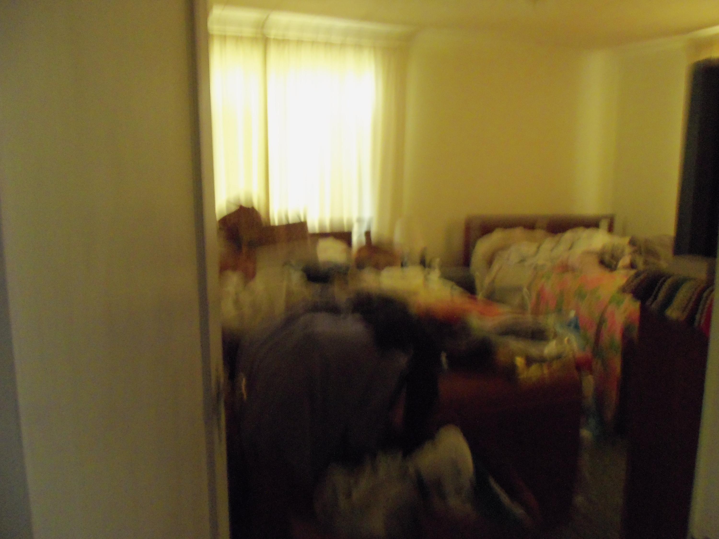 Ferdon Addition - Residential