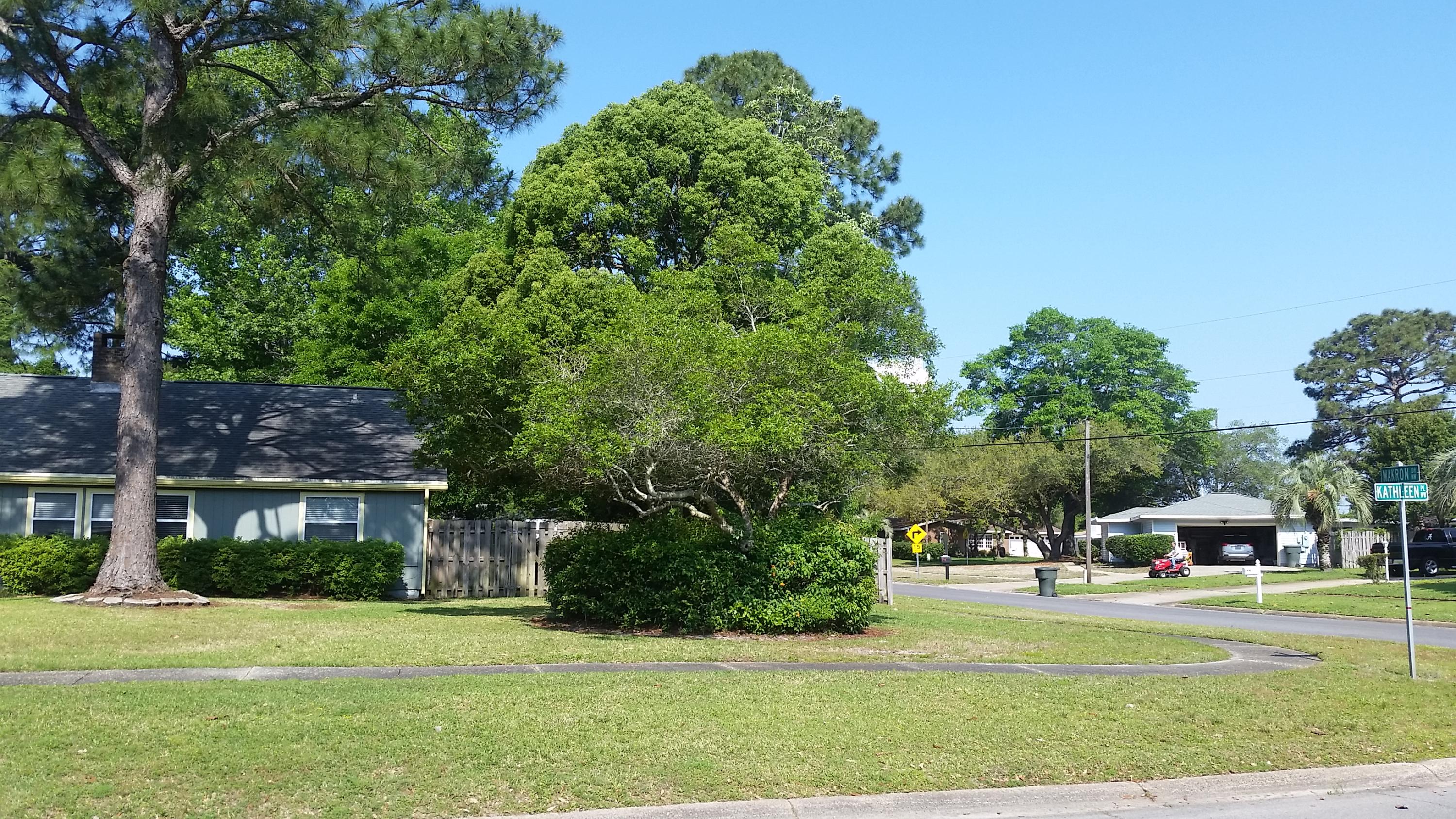 VICTORIA GARDENS 3 - Residential