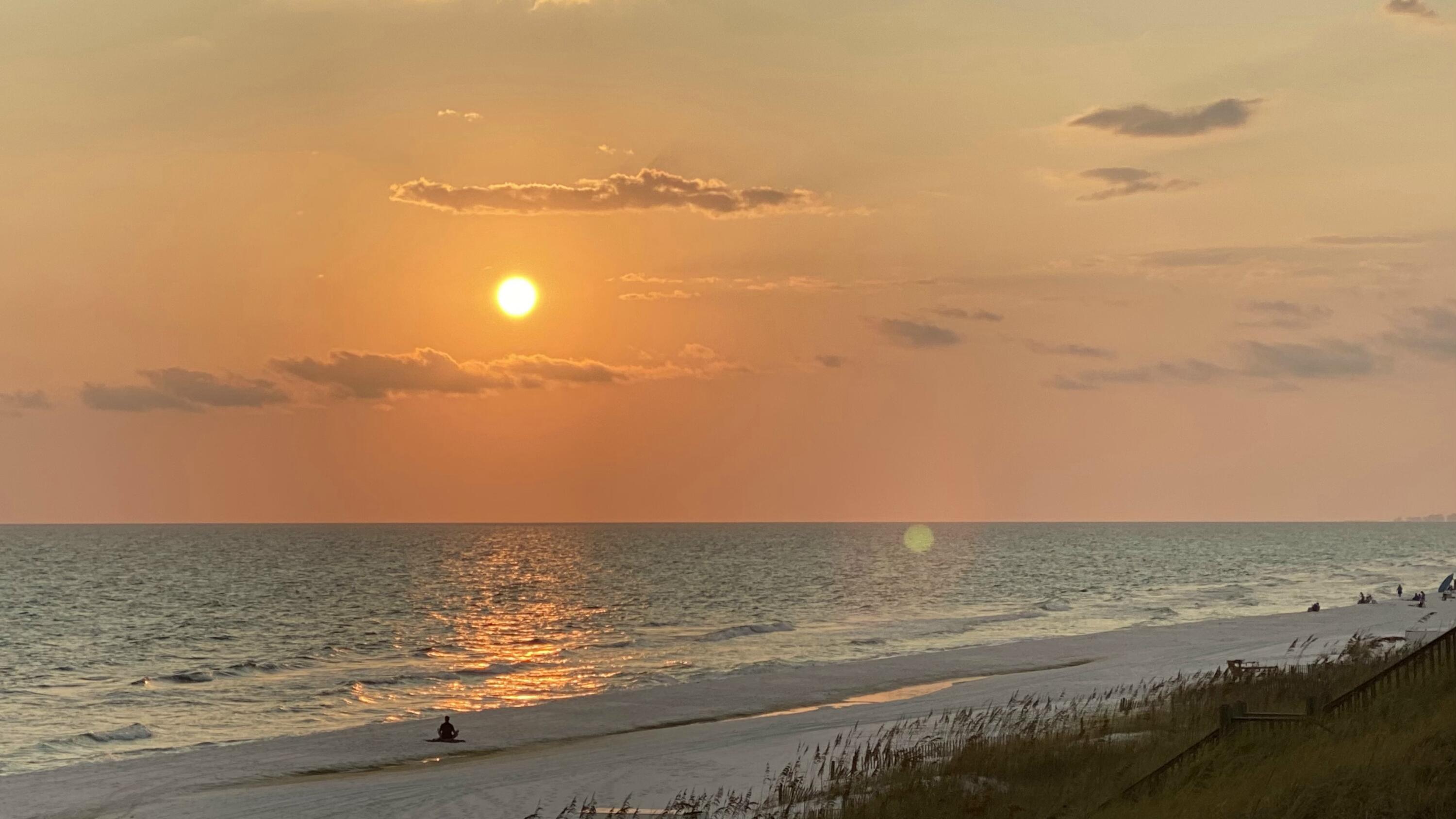 PALMS NORTH A CONDO - Residential