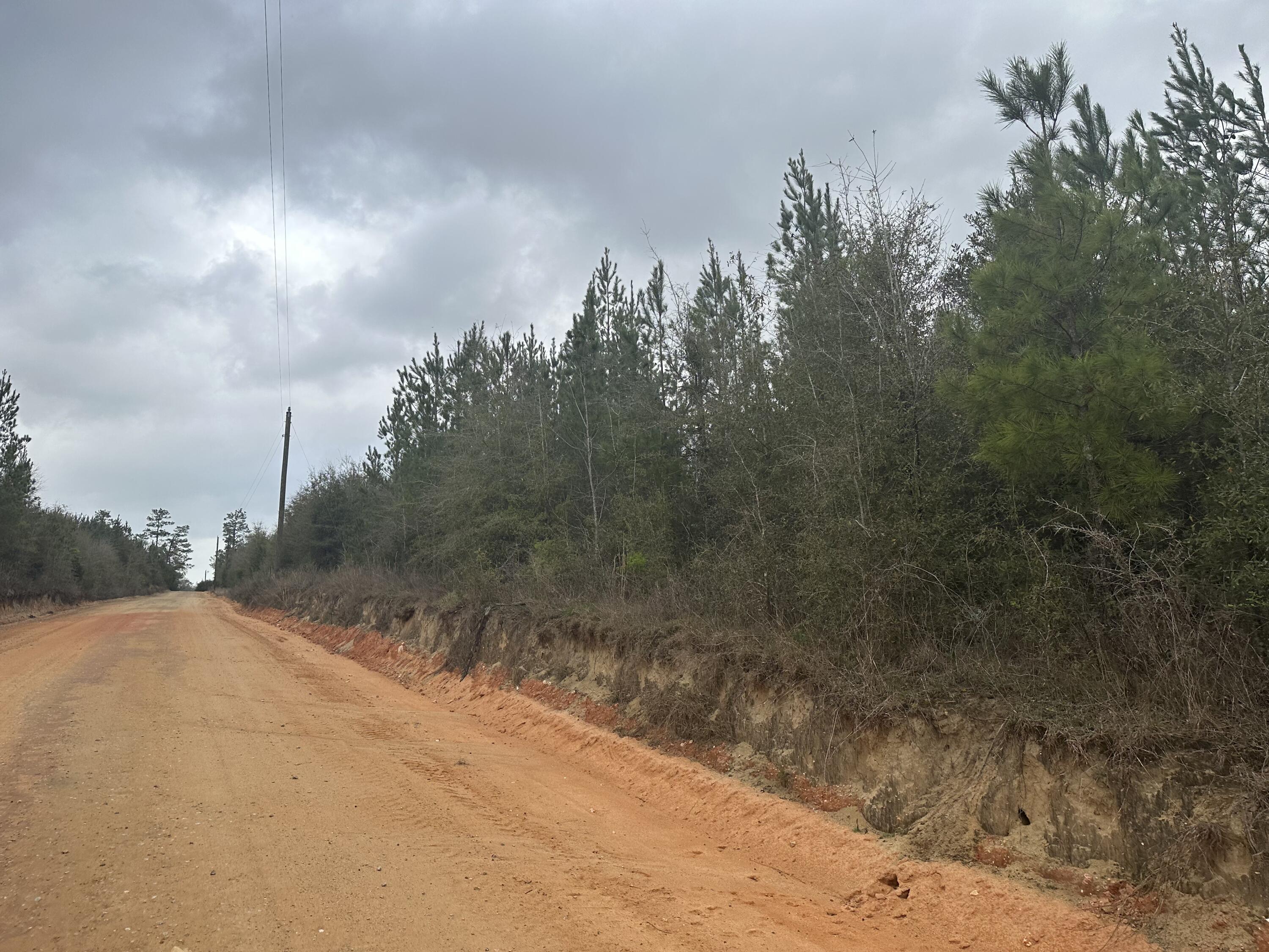 Dream Location for Country Living or Hunters Paradise either way you won't want to miss this opportunity! This Beautiful 20.2+/- Acres of prime land has so much to offer, a  stream runs through a portion of the property, Power is available. Turkey season coming soon! Bring your build plans, hunting gear, Horses and ATVS LOCATION LOCATION!!!! This Property has Easy Access to Panama City Beaches I-10, Hwy 79, Hwy 81, and Hwy 90.