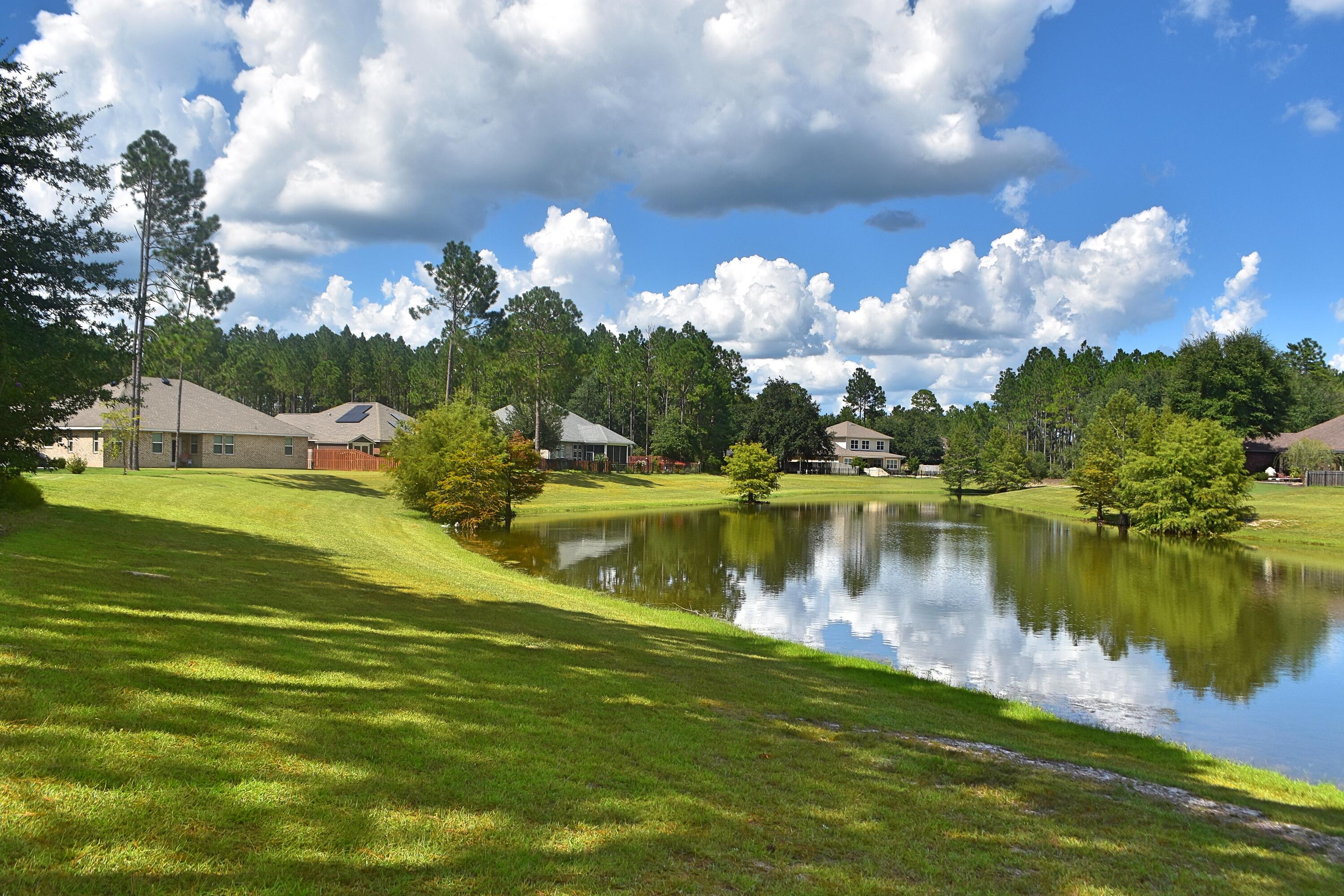 HAMMOCK BAY - Residential