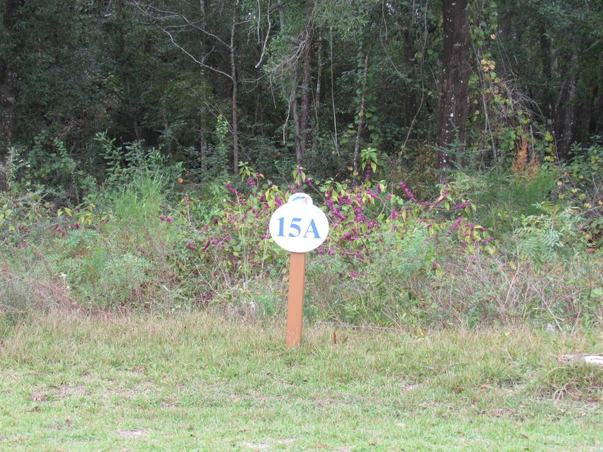 Beautiful lot ready for your to build in Freeport! This subdivision is conveniently located to the Beaches of South Walton and situated between Freeport and Santa Rosa Beach. This lot is across the street from the tennis courts and playground area. Amenities include swimming pool, tennis courts, pickleball court, basketball courts, clubhouse with fitness center and is a gated community. This lot backs up to the greenway at back of the lot. Seller may consider seller financing. Call for more info today.