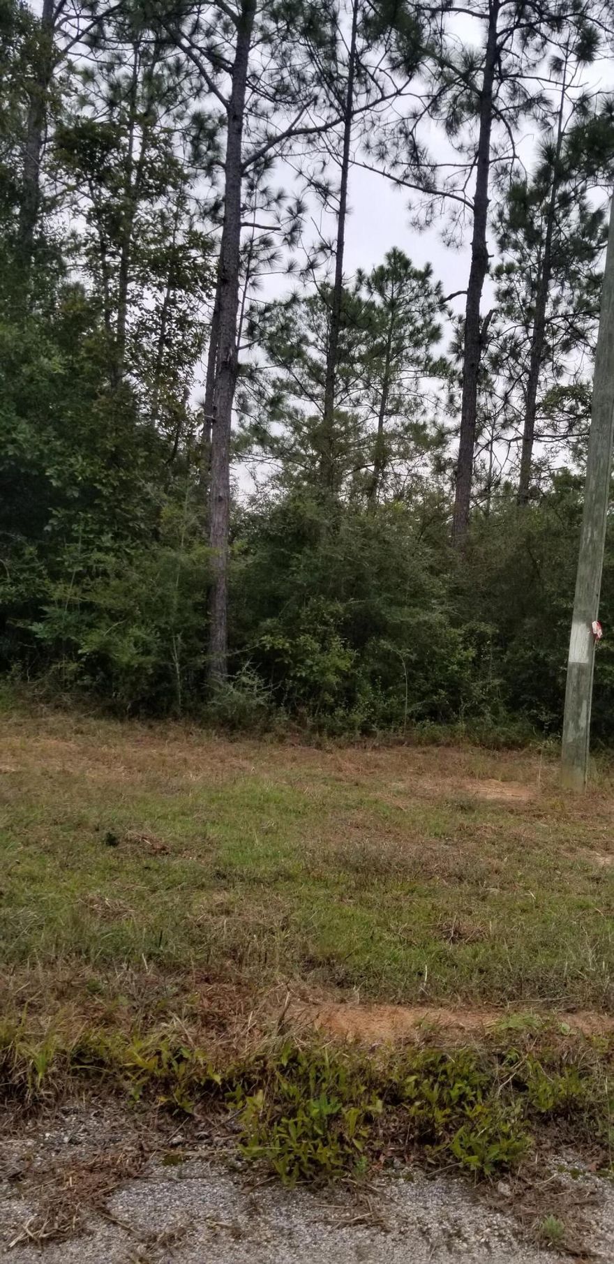 Beautiful wooded property just waiting for you to build on. Close to the interstate and the beautiful beaches. Wet land Delineation already completed so that will save you time and money. Seller also has a permit in place to clear the property
