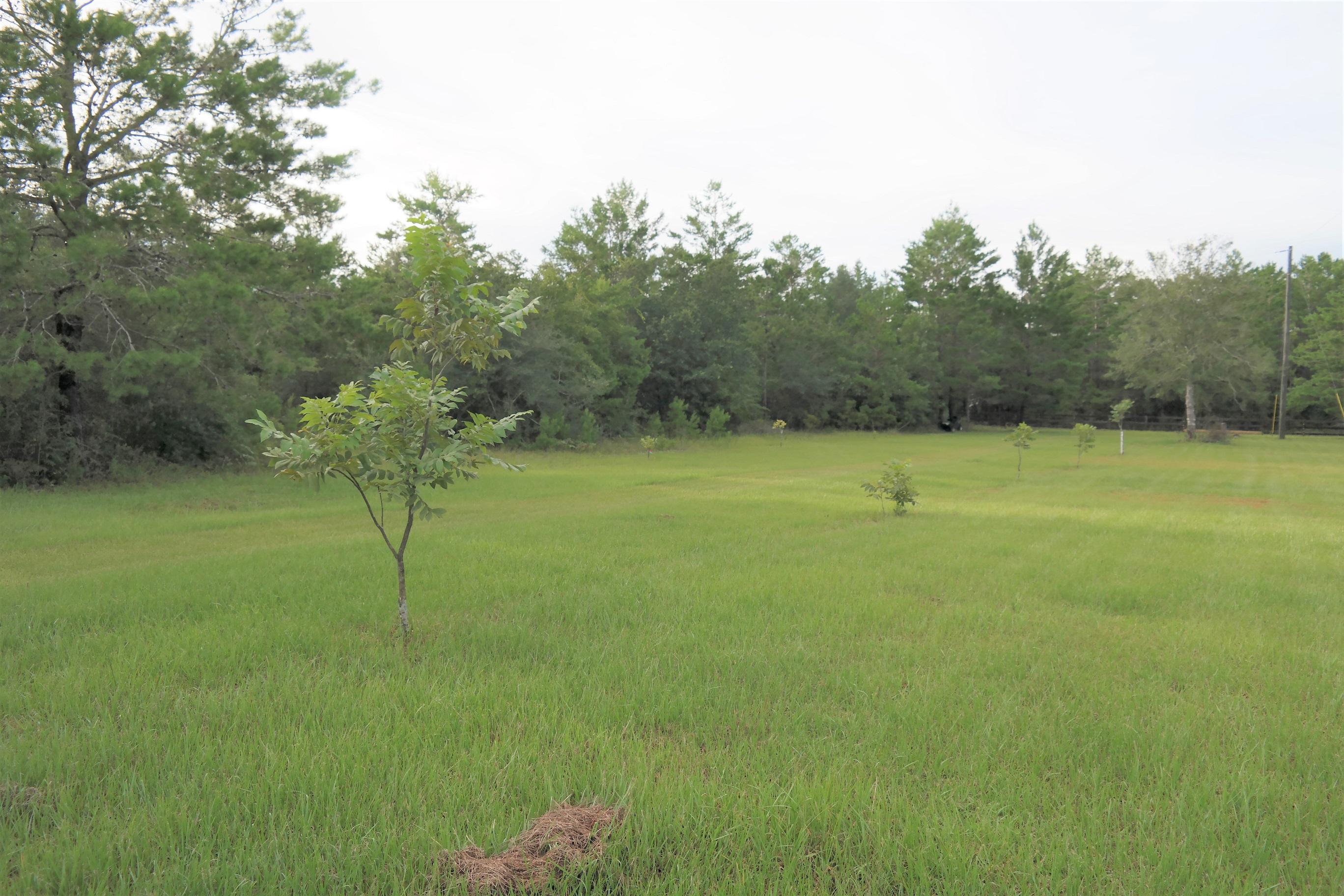 MEETS AND BONDS - Residential