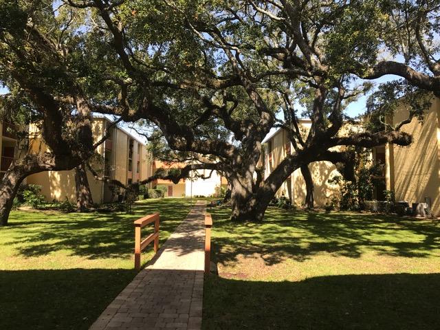 CEDARS CONDO - Residential