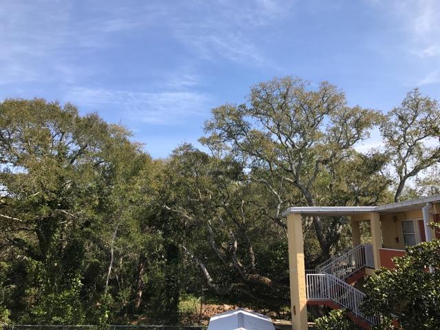 CEDARS CONDO - Residential