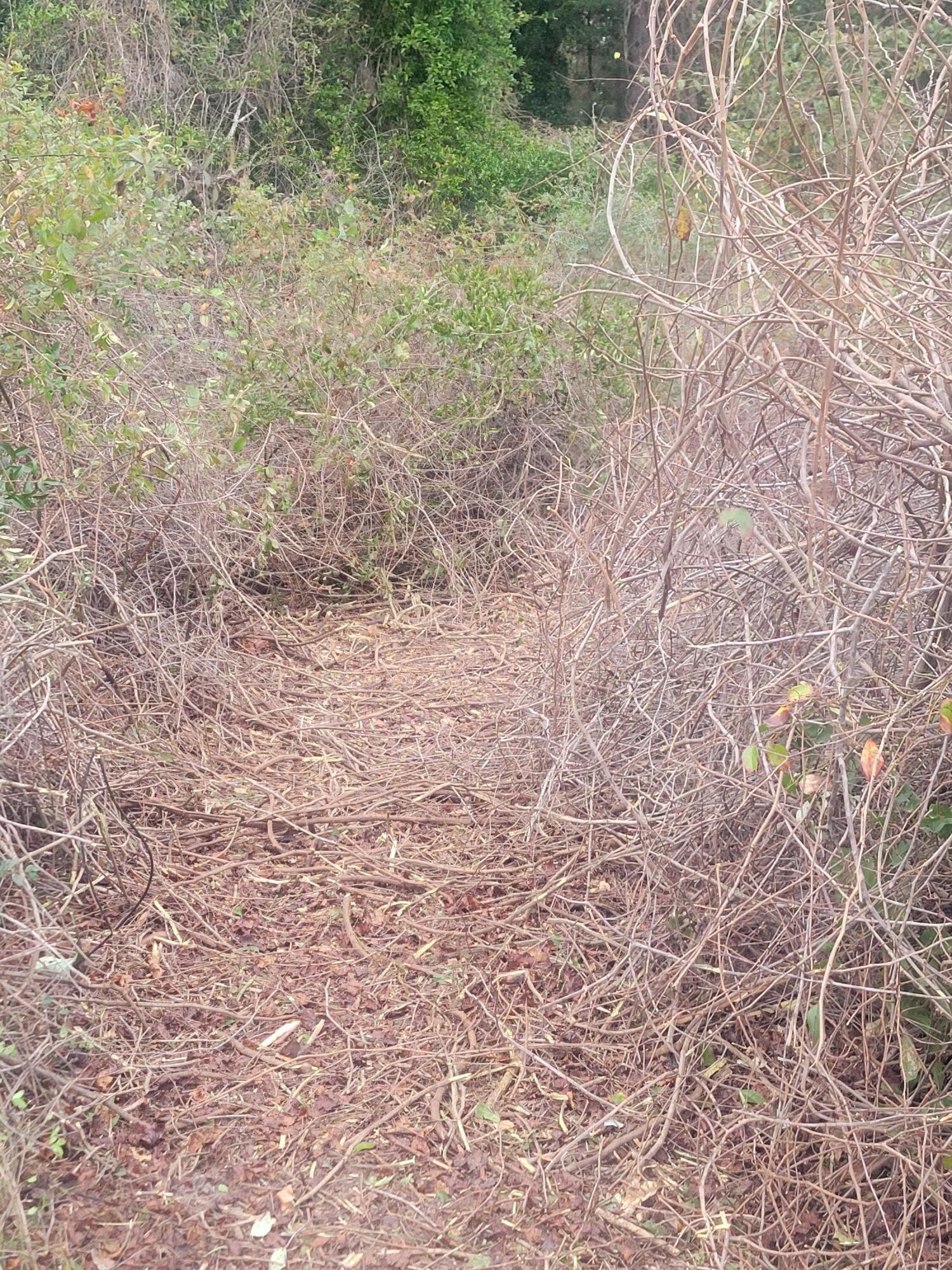 Metes and Bounds - Land