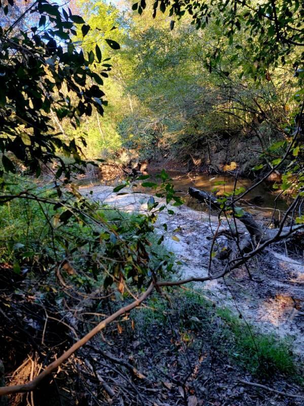 19 acres  of prime hunting and fishing acreage! Bruce Creek is one of prettiest flowing creeks in the area.  It is so pristine with over 75+' of clear running creek flowing with a sandy bottom in places....Be sure to click on ''Photos'' tab.  If you are looking for  lots of privacy, this is off a paved road by way of an easement.  Build your dream home or place a new manufactured home.  You are in the heart of nature an all the wildlife you could want, deer and turkeys and more.