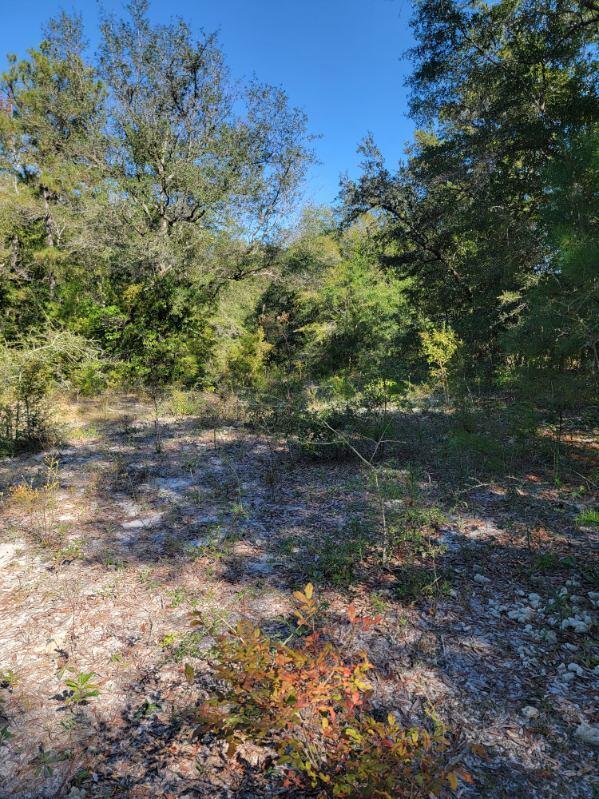 Metes and Bounds - Land