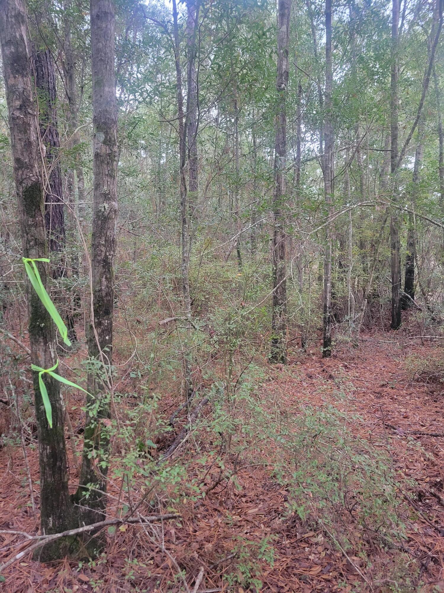 Metes and Bounds - Land