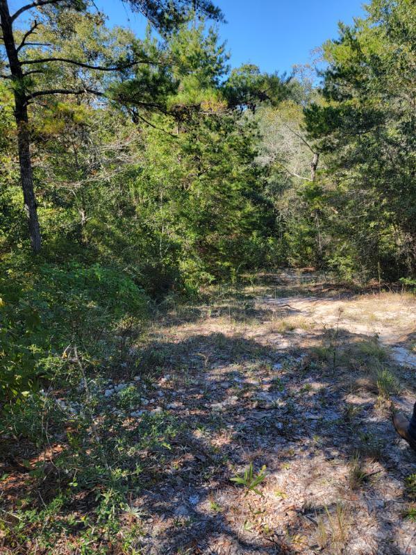 Metes and Bounds - Land