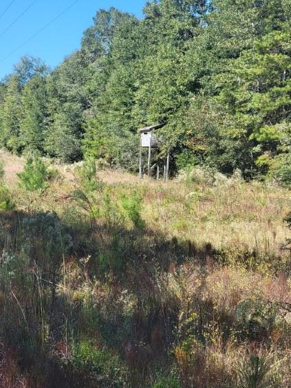 Metes and Bounds - Land