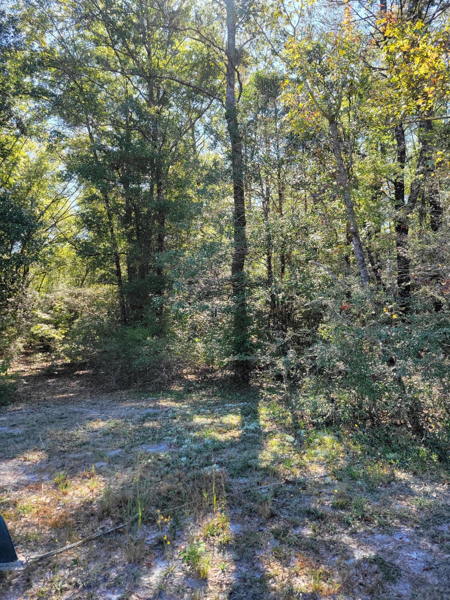 Metes and Bounds - Land