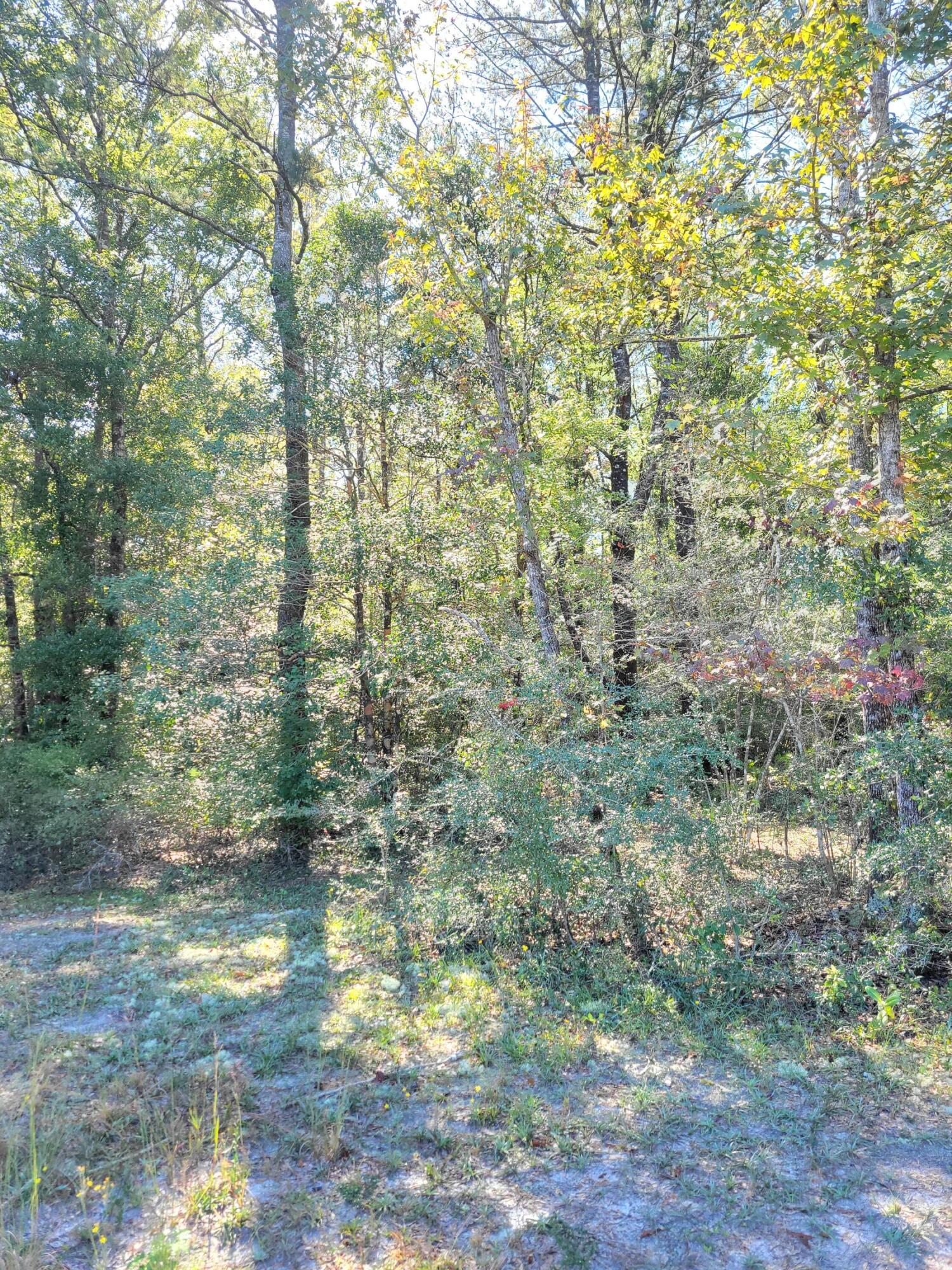 Metes and Bounds - Land