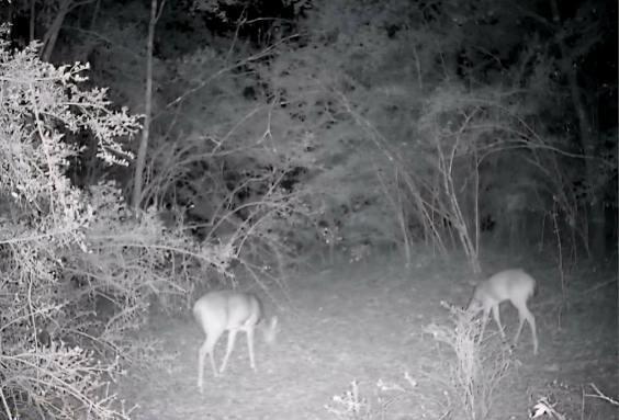 Metes and Bounds - Land