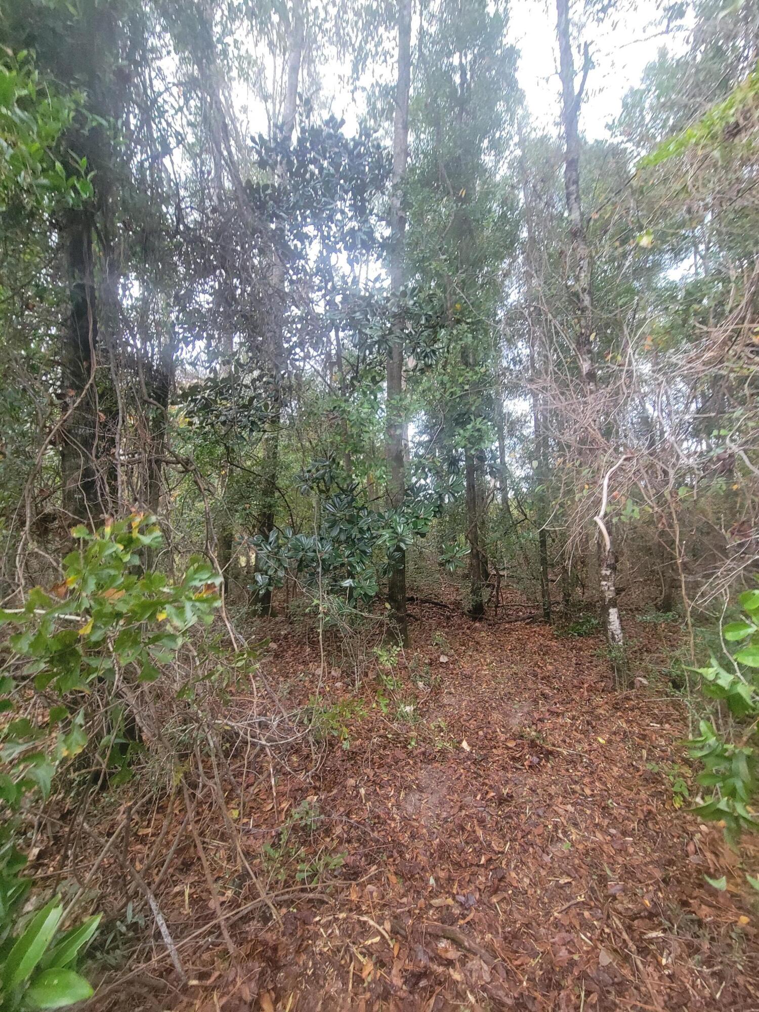 Metes and Bounds - Land