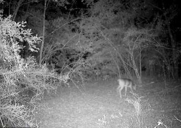 Metes and Bounds - Land