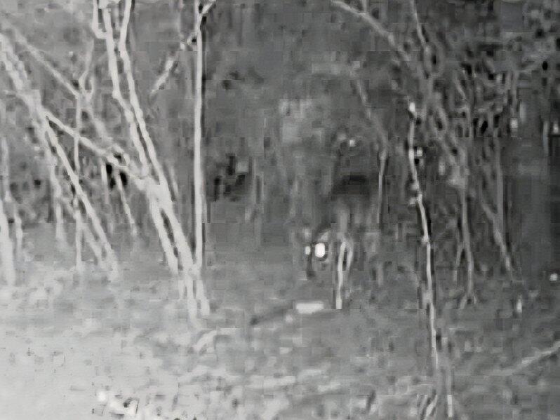 Metes and Bounds - Land