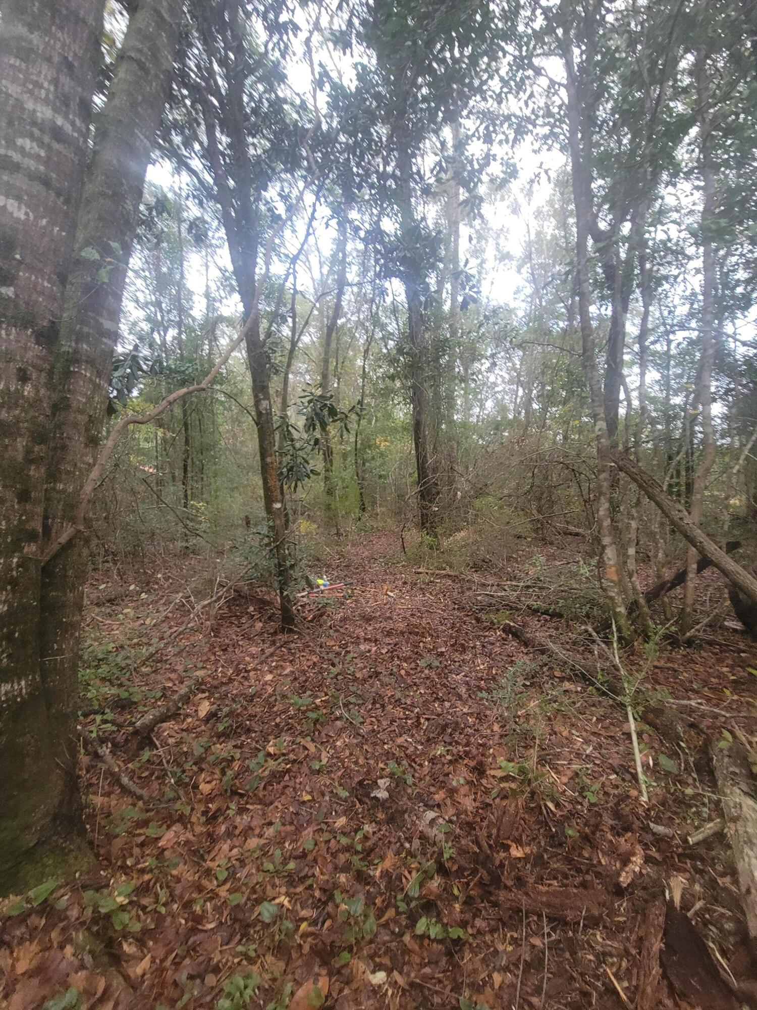 Metes and Bounds - Land