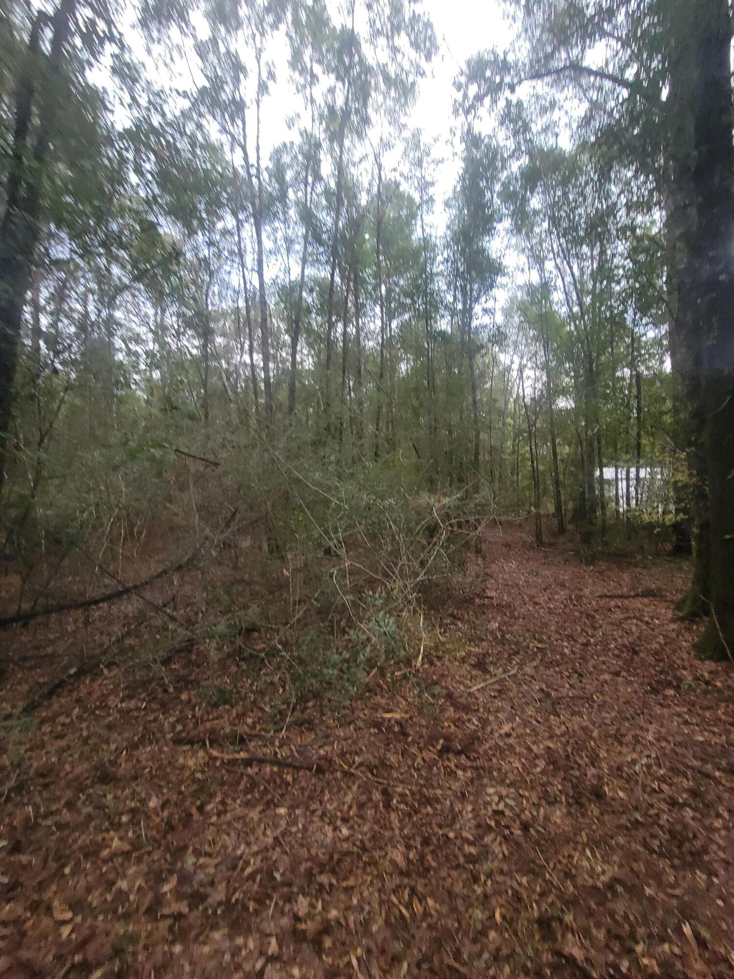 Metes and Bounds - Land