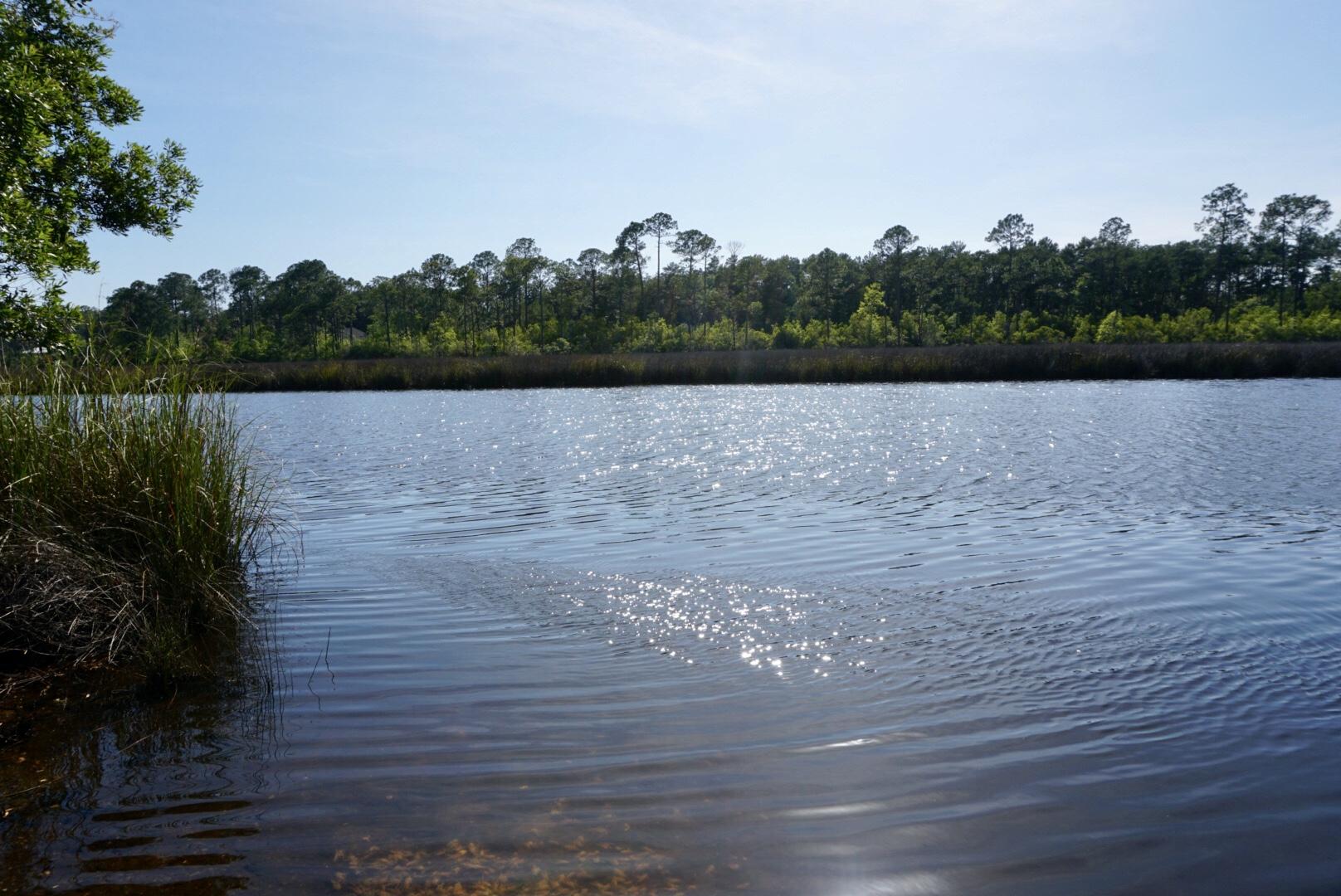 Peach Creek, Phase 4 - Residential