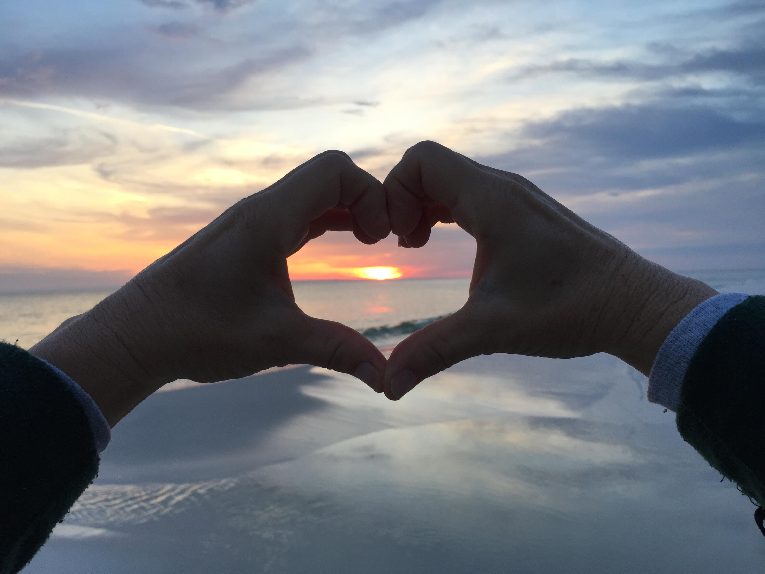 THE PALMS OF SUNSET HARBOR CONDOMINIUM - Residential