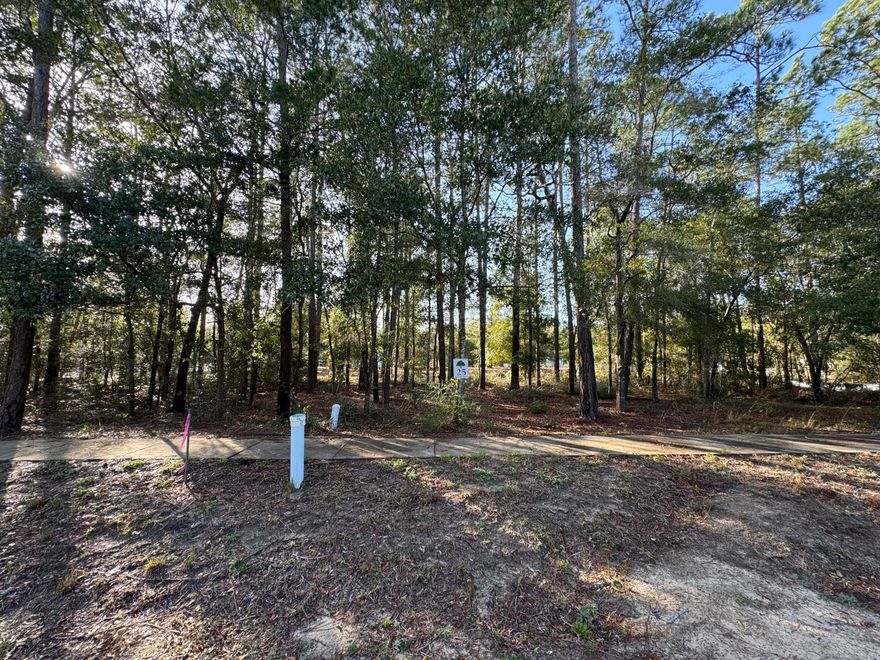 Looking to build a home?  Here is a beautifully wooded lot located in the heart of Freeport. This serene community only allows for single family homes.  This lot comes complete with permit, engineering and plans, city water/sewer taps paid, and survey (Value $14,100). To get started with construction all you need is fill dirt and land clearing. Everything else has been done for you, providing you wish to utilize the construction plans already permitted for this lot. High-dry lot (Flood Zone X.) is ready to build your dream home, meaning you won't need to pay for costly flood insurance. No mobile homes allowed. Minimal restrictions and HOA is only $75.00 a month.Great fishing on Four Mile Creek, or cruising onto the Choctawhatchee Bay or spending the day on White Sandy beaches of Florida's Emerald Gulf Coast. This amazing property is centrally located between Fort Walton Beach and Panama City Beach offering so much in the way of fun in the sun, tourism activities and Destin's World-Famous Crab Island all within a short 30-45 min drive. 