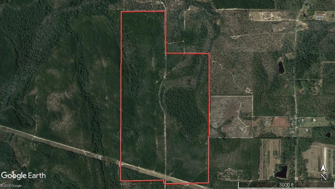 A large timber tract located just minutes from Down Town DeFuniak Springs. The tract is covered in 15-20 year old planted pines. The property has an abundance of deer and turkey.