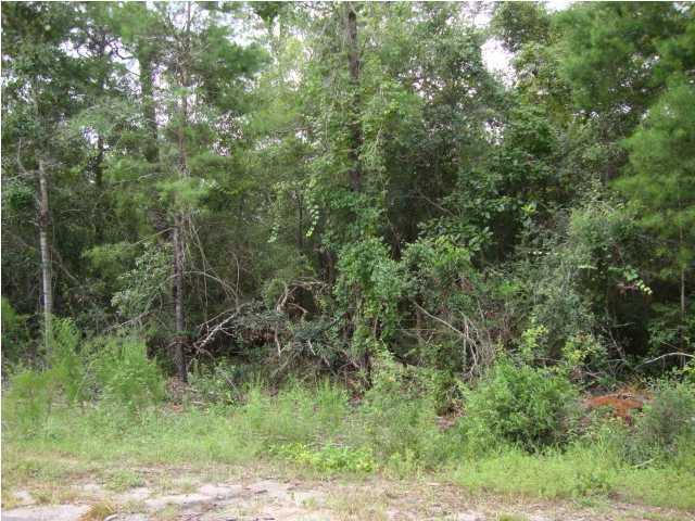 Eden Estates is one of the most popular subdivisions in the Historic Point Washington area. Nice quiet half acre lot in growing subdivision. Close to schools, shopping, restaurants and 30A beaches.No Association but there are restrictions in the subdivision.