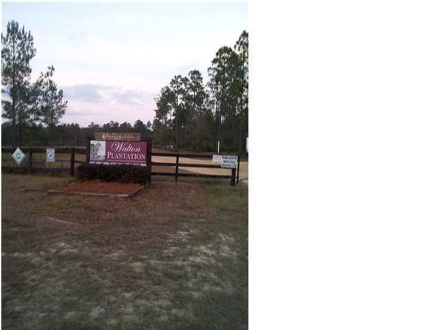 PRIVATE GATED COMMUNITY 7,000 ACRES WITH 4,000 DEDICATED TO TIMBERLAND. GREAT FOR HUNTING, ATV AND HORSE TRAILS. FOR ADDITIONAL INFO VISIT WWW.WALTONPLANTATION.ORG