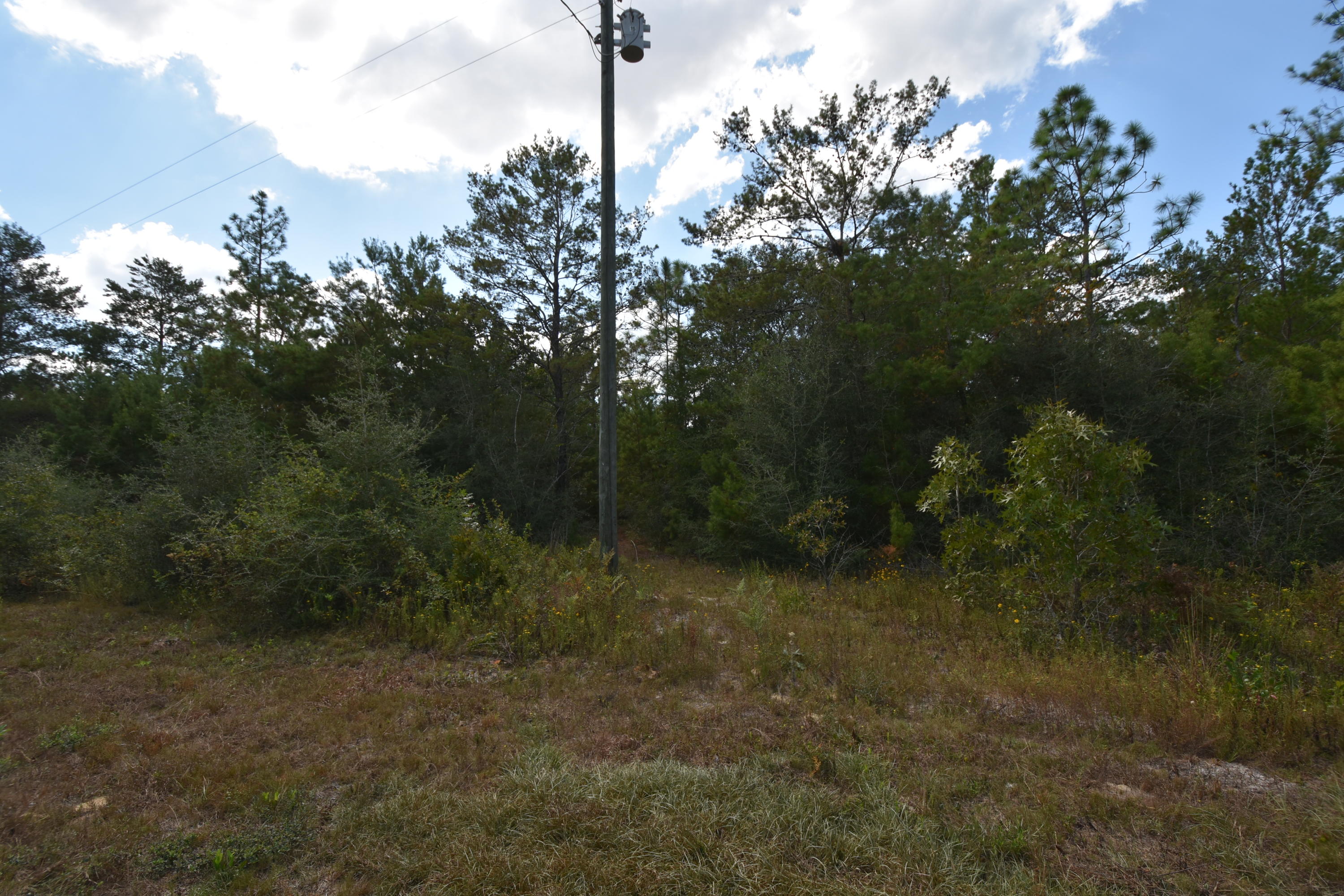 This property consists of Two (2) 25' X 110' lots. The county does not maintain this road. The Zoning and Future Land Use are Agricultural. Mobile Homes are allowed. Please verify availability of utilities. Electricity is available. Must put in well & septic system.