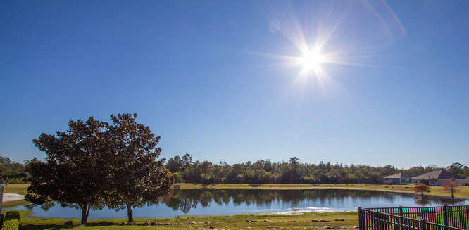 HAMMOCK BAY - Residential