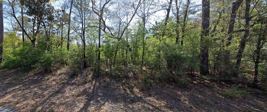 Owner Financing available! Survey done! Nestled in the rolling hills outside Holt, this secluded 1 acre lot offers the perfect blend of nature and privacy just minutes from town. Mature oak, pine and magnolia trees dot the perimeter, providing shade and natural beauty while screening the property from nearby homes. The oversized wooded parcel allows ample room for living your rural dreams. Multiple home sites exist for bringing your custom built dream home to life amidst nature. With quick access to Hwy 90, just minutes to top-rated schools, shopping and dining in Holt, you can enjoy small town living with modern conveniences. This Holt area lot provides the room to stretch out while avoiding dense neighborhoods and hustle. Grab this Rare chance in the Holt area before it disappears!