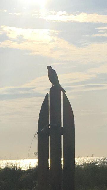 TOP OF THE GULF CONDO - Residential